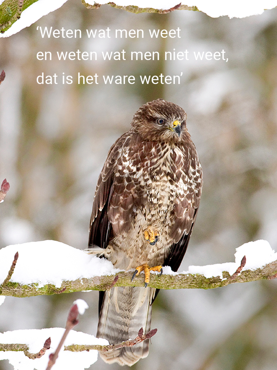 Begeleiding